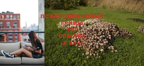 дживик Вязьма