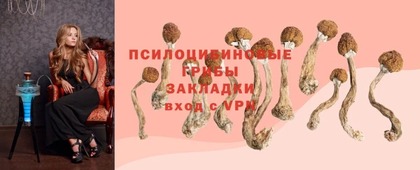 а пвп мука Горняк