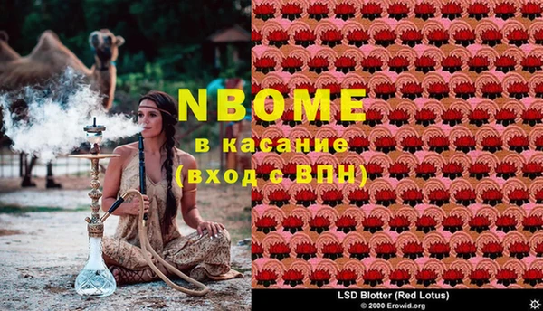 ECSTASY Горнозаводск