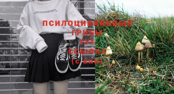 а пвп мука Горняк