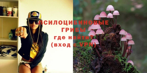 а пвп мука Горняк