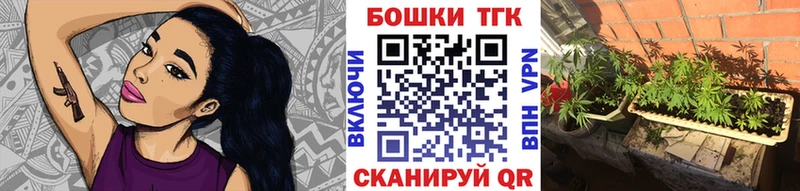 Марихуана THC 21%  Купить закладки  Новодвинск 